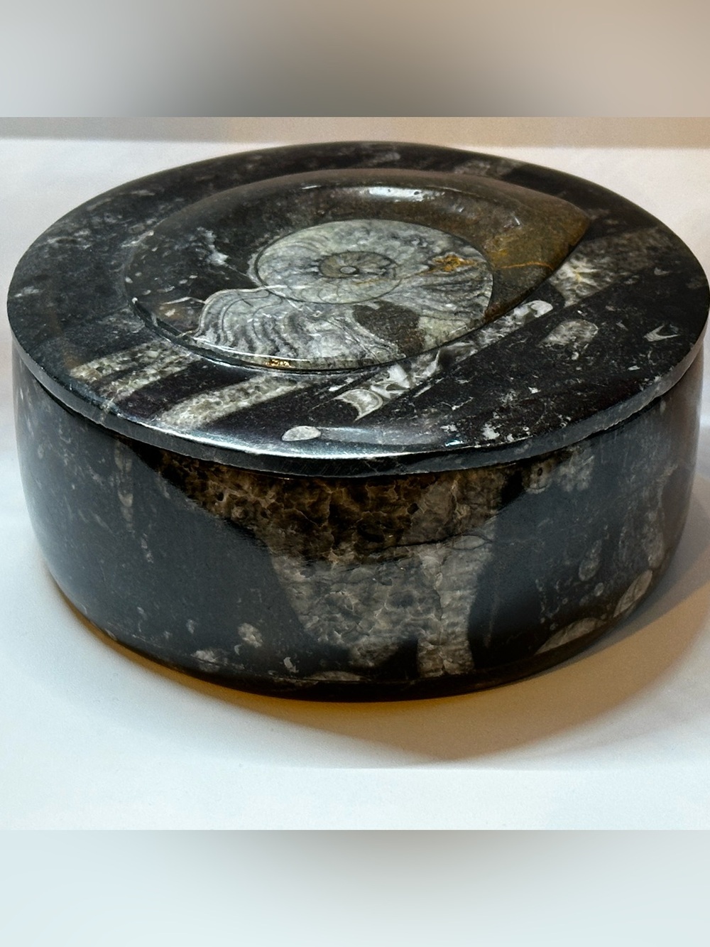 Ammonite Fossil Stone Hand Carved Keepsake Jewelry Trinket Box Bowl Decor